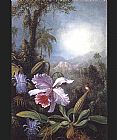 Martin Johnson Heade Famous Paintings - Orchids Passion Flowers and Hummingbird